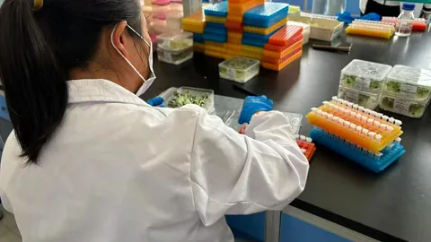 2026意大利留学新规解读即时开奖：外籍学生面临哪些挑战